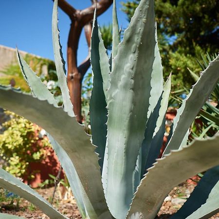 La PalmeJardin De Palmeアパートメント エクステリア 写真